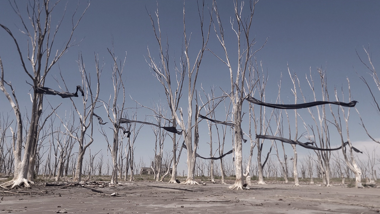 instalacion de sitio especifico en epecuen / site specific installation at epecuen lagoon - residencia artistica / art residencty